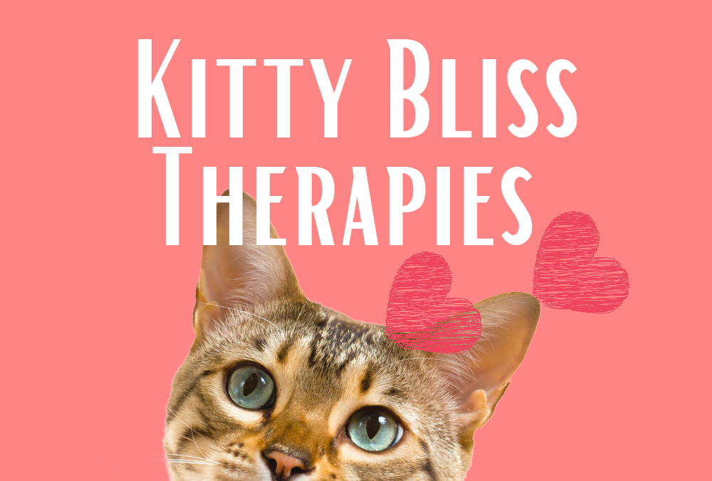 Kitty Bliss = Cat Therapies at Home