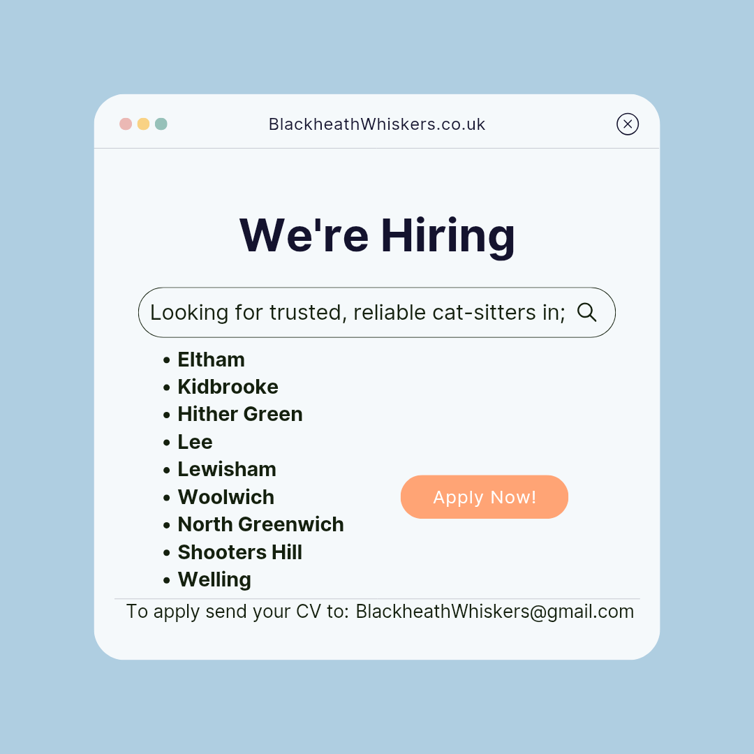 Blackheath v<br />
Whiskers cat sitting are hiring cat sitters </p>
<p>