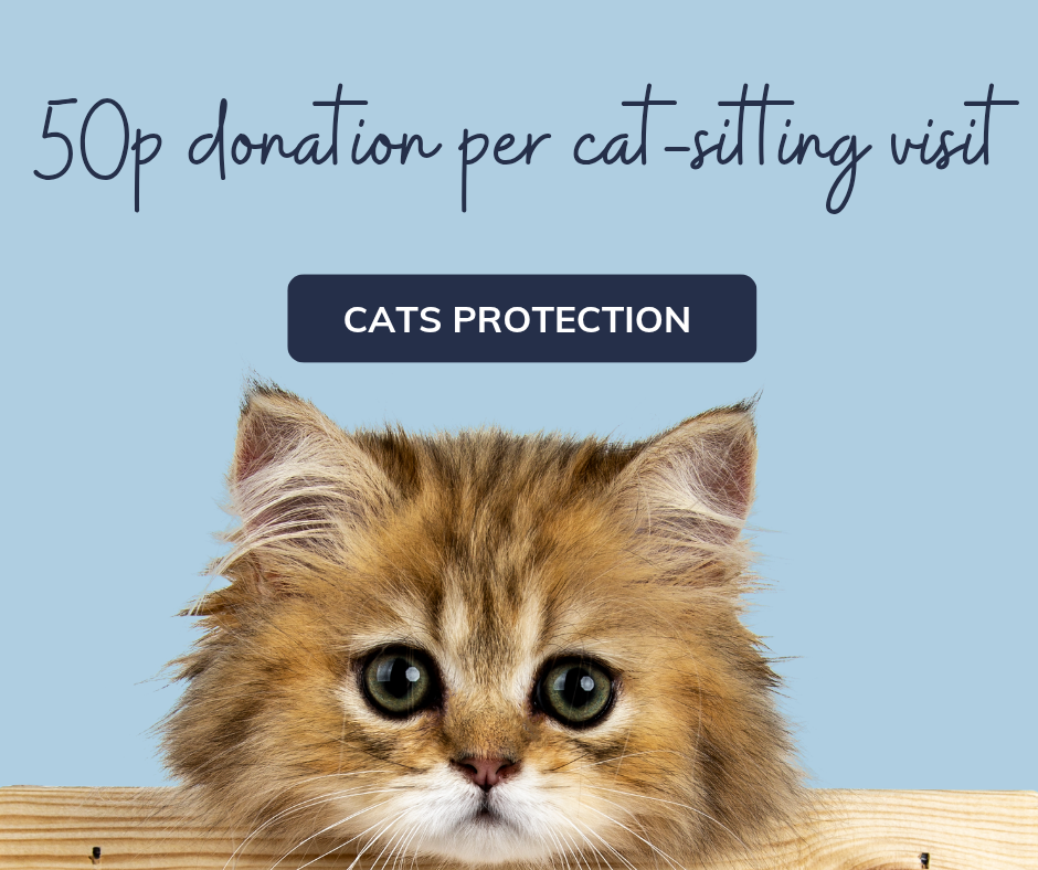 Donation to cats protection charity